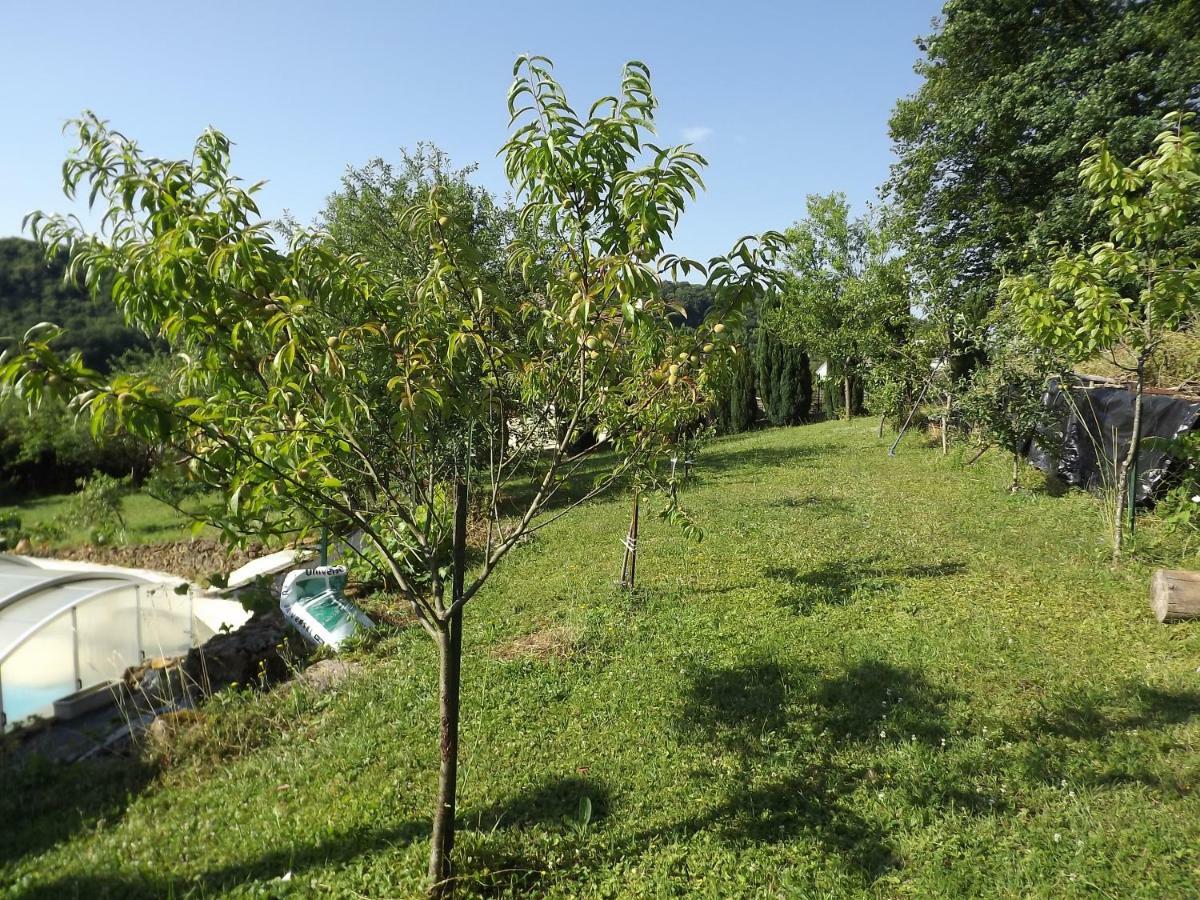 Chez Gerard Champigneulles